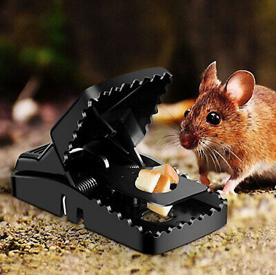 Heavy Duty Reusable Mouse Trap Safe Plastic Rat Catcher for Home & Outdoor Use